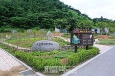 [시선 집중]  괴산군 성불산자연휴양림, 친환경 추천 여행지 됐다