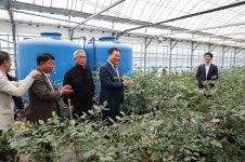 [무안군 소식] 무안군, 민선 8기 공약 실천 계획 평가 우수 外