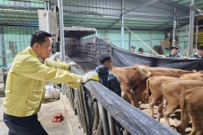 [순창군 소식] 최영일 순창군수, 침수 피해 예상 축산농가 소 안전한 곳 이동조치 外