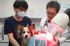 충현동물병원 강종일 원장, 생명의 소중함을 실행하다