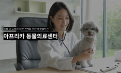 [인터뷰] 아프리카동물의료센터 유제혁 원장 , 진심을 다하는 동물치료로 반려 가족의 행복감을 높인다