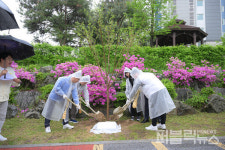 세종실개천 도화길 걸으며 주민화합 다져요