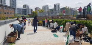 세종시, 해밀동, 생태순환 정원가꾸기 이웃과 함께 해요