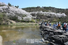 【쏠리는 눈】진천 농다리 위상 날개 달았다… 5월 현재 전년도 방문객 수 뛰어넘어