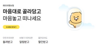 여행자보험 중단 위기...결국 열쇠는 금융당국