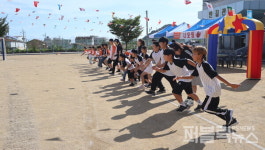 [울진군 교육현장] 울진남부초, 심폐소생술(CPR) 교육 실시 外