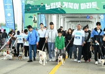 오세훈 시장, 반려동물과 동행하는 행복한 삶, 지원할 것