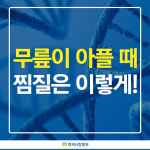 [연세사랑병원 줄기세포연구실 정형외과 칼럼] 무릎이 아플때, 찜질은 이렇게