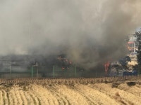 영광군 군서면 가사리 만년농장 돼지 돈사 화재