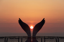영광 백수해안 노을 전남도 신규 관광지로 지정
