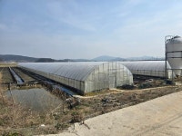 우렁이 양식 농가의 한숨, 지원 확대 절실