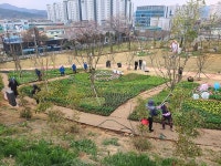 화순군, 2025 화순 봄꽃 축제, 설렘 속 봄맞이 준비 한창