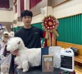 제4회 한국반려동물예술문화미용대회 광주서 열려...반려동물 미용기술과 예술성 선봬