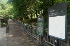 [이달의 산책] 호국선열이 잠든 옆, 숲속 길 걷다