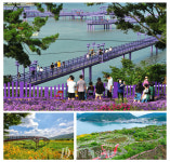 전남 외국인 봄시즌 안심관광지 전국 최다 