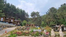 영덕 H펜션, 국유지 무단 점유도 들통