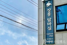울릉 장흥 달마실 복합센터 특별한 촌캉스 인기 쑥