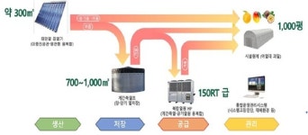 경북도, 포항서 태양열 활용 만감류 실증 재배 성공