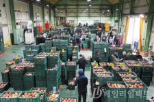 [고향소식] 청송군, 변화를 이끄는 농정운영 발표