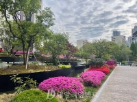 [현장]"조경도 경쟁력"..원베일리와 퍼스티어 아이파크 가봤더니...