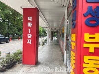 [1기 신도시 재건축]②일산, 선도지구 선정 시동…기대감 UP