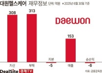 [핀포인트] [대원제약] 헬스케어, 정상화 난항…제2의 대원메디테크?