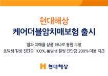  현대해상, 암·치매 통합 보장...케어더블암치매보험 출시