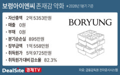 [NEXT 경영나침반] [보령] 힘 싣는 우주 사업…존재감 옅어진 미국법인