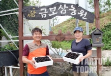 [지리산 산청농부①] 해발 500m, 지하 암반수로 무농약 버섯 재배하는 금보삼농원 이경섭