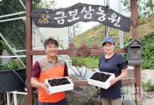 [지리산 산청농부①] 해발 500m, 지하 암반수로 무농약 버섯 재배하는 금보삼농원 이경섭