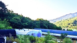 [지리산 산청농부①] 해발 500m, 지하 암반수로 무농약 버섯 재배하는 금보삼농원 이경섭
