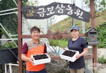 [지리산 산청농부①] 해발 500m, 지하 암반수로 무농약 버섯 재배하는 금보삼농원 이경섭