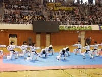 제17회 대전시장기 태권도대회