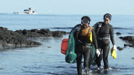 인간극장, 제주 서쪽 금능 상군 시어머니와 애기 해녀 첫번째 이야기!...상군해녀들은 수심이 깊은 비양도로 향하는데...