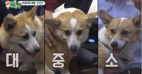 주병진 나이 예순 둘, 개그계의 신사...몰래카메라 용어 창시자 너희 나이로 갈 수 있다면 나는 결혼한다