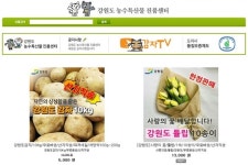 강원도 농수특산물 진품센터 공식몰 진품샵강원도 감자 10Kg 택포 5천원, 튤립 10송이 1만 3천원 판매