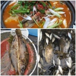 2TV 생생정보 비법 24시 민물매운탕 맛집 샛청가든위치는?