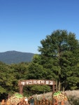 [여행 돋보기] 철원·포천 명성산