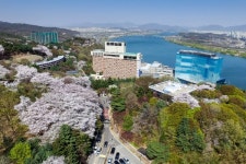 [호텔워치] 벚꽃 축제·피크닉 패키지…호텔가에 살랑대는 봄바람