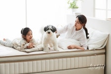 한샘, 반려동물과 사용해도 알레르기 걱정 없는 포시즌 매트리스 출시