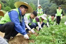 이대훈 NH농협은행장, 임직원들과 농촌일손돕기 구슬땀