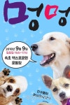 멍 멍~속초엑스포공원에서 반려견 문화축제 개최