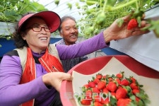 노는 물이 다른 청정골 산청, 웰빙 식품 넘버원!