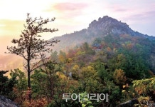 전라남도 만추(晩秋) 여행, 바스樂 바스樂 가을이 들려주는 서정시