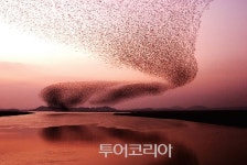 전라남도 만추(晩秋) 여행, 바스樂 바스樂 가을이 들려주는 서정시