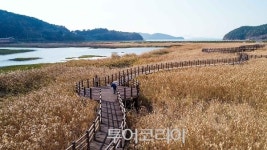 소셜 인플루언서도 반한 여수 가을여행 콘텐츠 인기