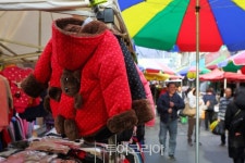 [경기관광공사 12월 추천 여행] 골목이 들려주는 특별한 이야기