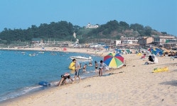 양양군,죽도·인구·동산포해변에 숙박시설 대거 신축 추진