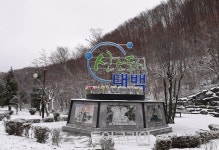 류태호 태백시장 태백, 사계절 관광·힐링 휴양 최적지