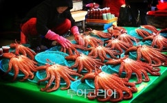 맛으로 기억하는 포항, 보양진미